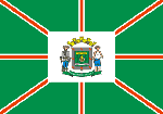 Bandeira de Goinia